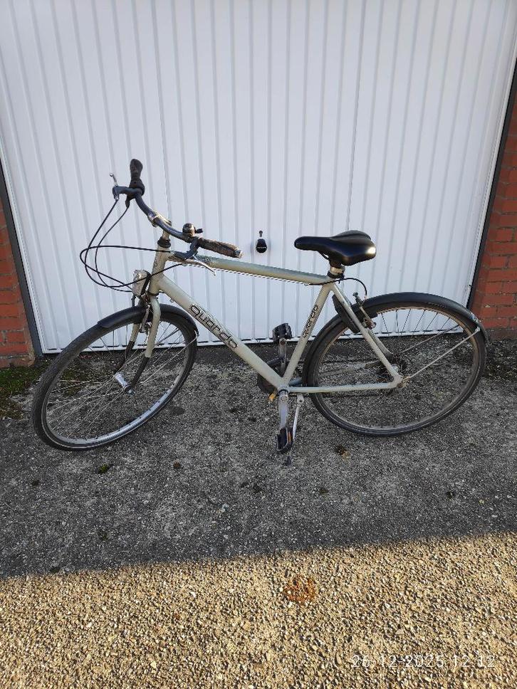 Quardo Herenfiets, Vélos & Vélomoteurs, Vélos | Hommes | Vélos pour homme, Utilisé, Autres marques, 49 à 53 cm, Enlèvement