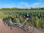 Gazelle tandem Te Huur, Fietsen en Brommers, Ophalen