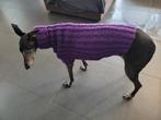 Pull en tricot pour lévrier, Dieren en Toebehoren, Hondenkleding, Verzenden, Nieuw, Hondenjas