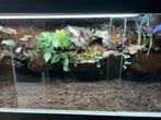 Terrarium 180 x 60 x 50, Ophalen, Zo goed als nieuw