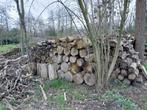 Brandhout, deels hazelaar, deels populier, Blokken, Ophalen, 6 m³ of meer, Overige houtsoorten