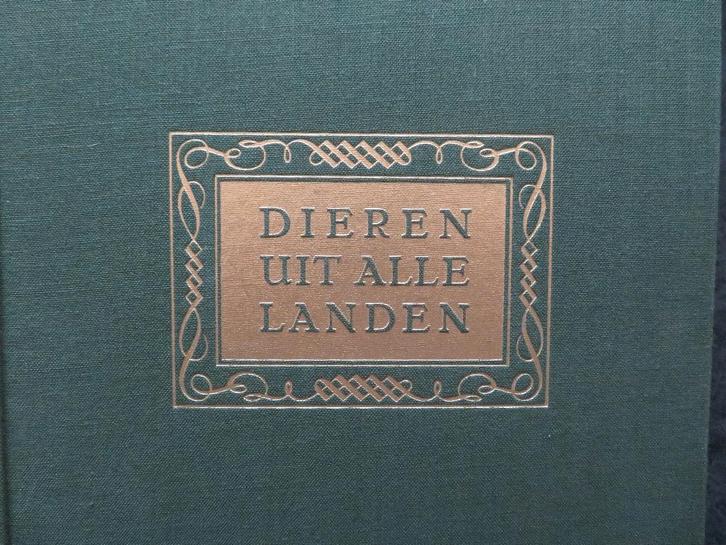 15  Artisboeken, Boeken, Prentenboeken en Plaatjesalbums, Zo goed als nieuw, Prentenboek, Ophalen