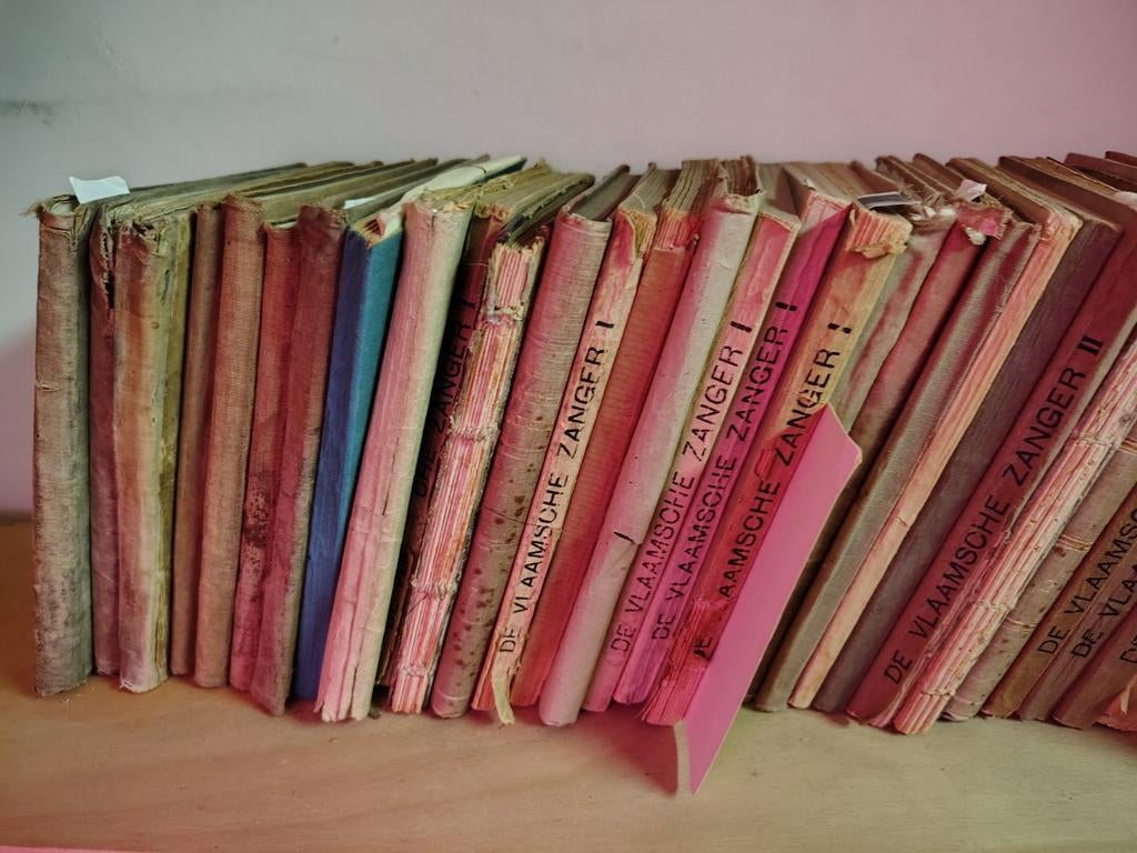 Liedjesboekjes De Vlaamsche Zanger, Ophalen of Verzenden