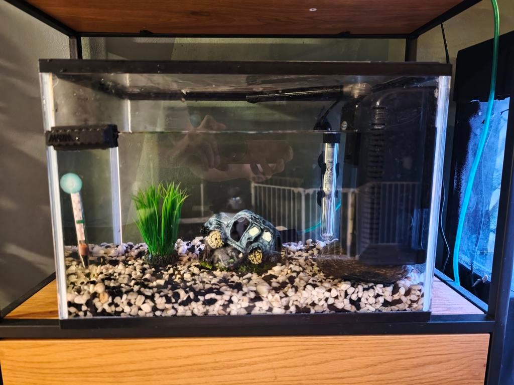 Aqaurium met toebehoren te koop! VASTE PRIJS/GEEN BIEDEN!, Dieren en Toebehoren, Ophalen, Verwarming