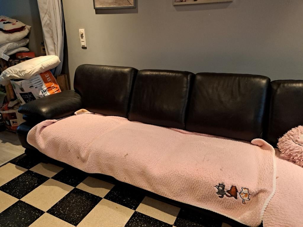 Lederen hoeksalon, Ophalen