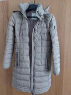 Doudoune Esprit, taille S, Enlèvement ou Envoi, Porté, Esprit, Taille 36 (S)