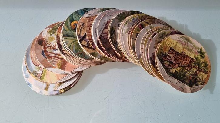 La Vache qui Rit / Congo Belge 1930 / Chromos, Collections, Marques & Objets publicitaires, Utilisé, Autres types, Enlèvement ou Envoi