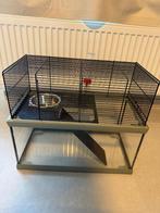 Hamsterkooi, Dieren en Toebehoren, Knaagdieren en Konijnen | Hokken en Kooien, Kooi, Gebruikt, Minder dan 75 cm, Hamster