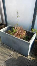 Lot de 3 bacs de plantes gris, Jardin & Terrasse, Béton, 30 à 60 cm, Enlèvement, Utilisé