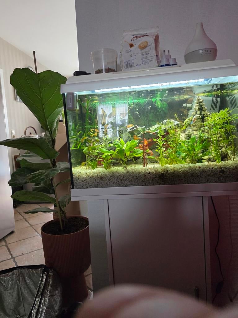 Aquarium, Enlèvement, Utilisé, Autres types