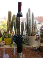 Di Piovo wijnfles paraplu, Ophalen of Verzenden, Nieuw, Zwart