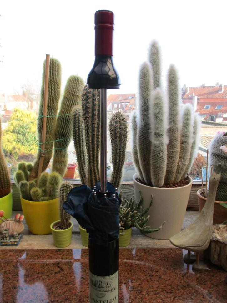 Di Piovo wijnfles paraplu, Handtassen en Accessoires, Paraplu's, Nieuw, Zwart, Ophalen of Verzenden