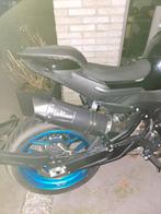 Cf 800 NK 800 advanced. 6/2025, Motos, Motoren | CFMOTO