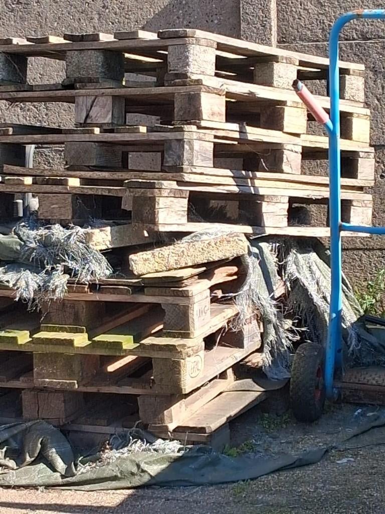 Pallets, Ophalen, Gebruikt, Overige houtsoorten, Pallet