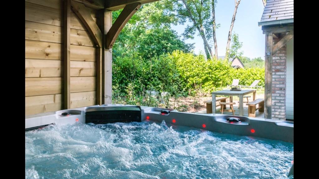 LUXE VAKANTIEWONING met SAUNA en JACUZZI - DURBUY - ARDENNEN, Vakantie, 12 personen, 4 of meer slaapkamers, Open haard, Landelijk