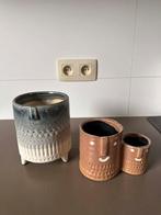 Ensemble de pots de fleurs, Enlèvement