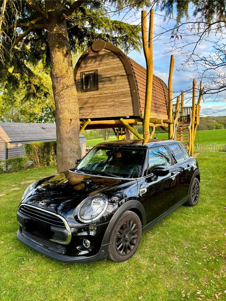 Mini one, Auto's, Mini, 75 kW, Stof, Euro 6, 4 cilinders