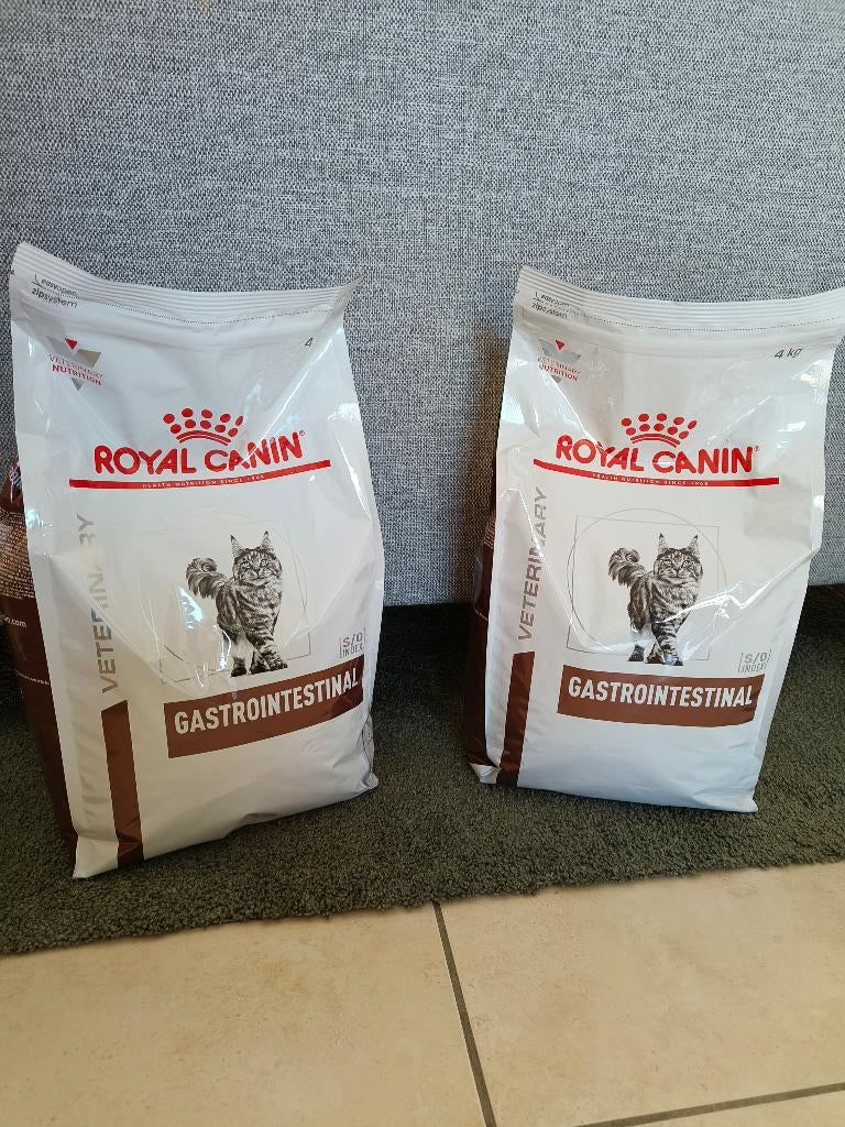 Royal Canin (kat) droge brokken (2 zakken van 4 kg), Dieren en Toebehoren, Dierenvoeding, Ophalen, Kat