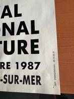 Poster 19eme festival international de la peinture *1987, Verzamelen, Deurposter of groter, Ophalen of Verzenden, Reclame, Rechthoekig Staand