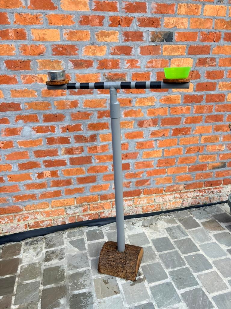 Perchoir pour perruche ou perroquet, Animaux & Accessoires, Perroquet