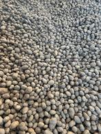 patates, Animaux & Accessoires