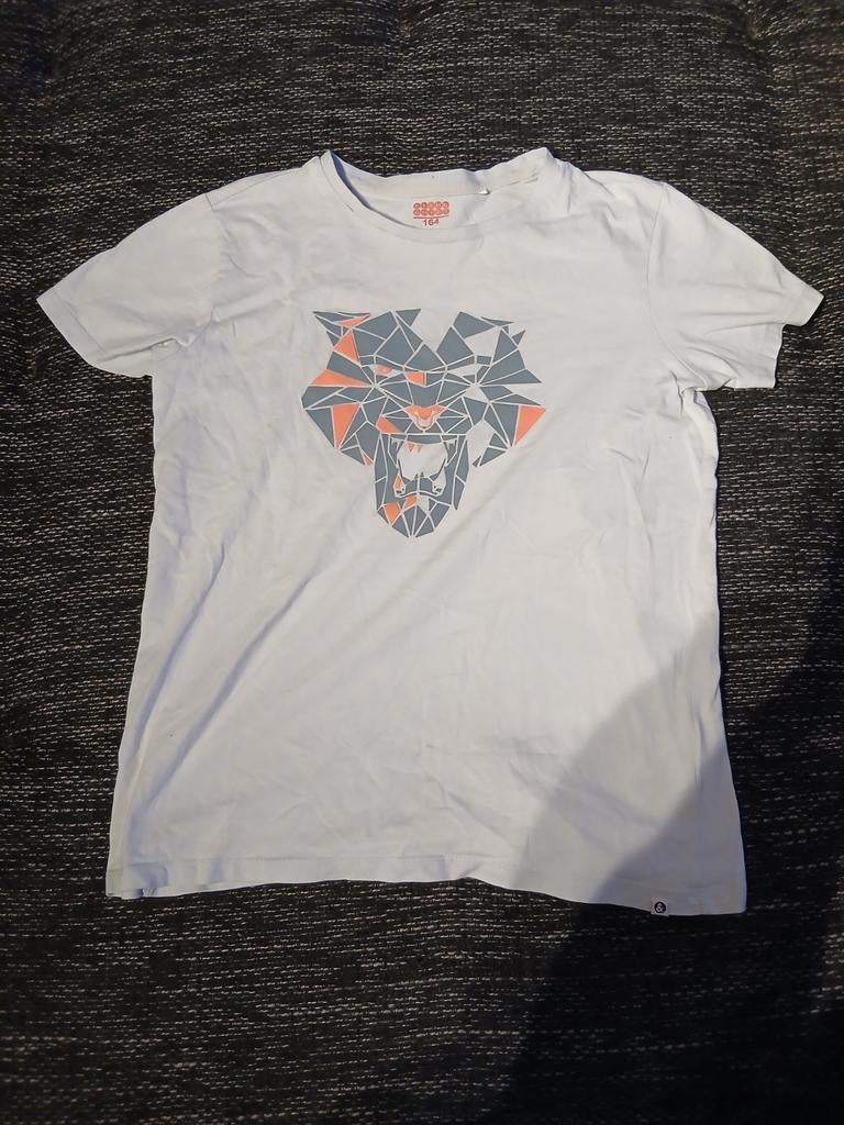 T shirt, Kinderen en Baby's, Kinderkleding | Maat 164, Ophalen, Fish & Chips, Zo goed als nieuw, Shirt of Longsleeve