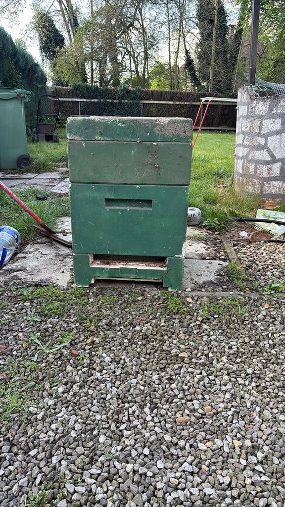 Isomo dadant bijenkast, Bijen