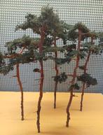 H0 Dennebomen, Verzenden