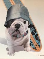 Cadre Bouledogue français surfeur, Enlèvement, Comme neuf