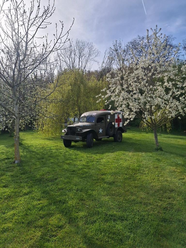 Dodge wc 54, Collections, Enlèvement, Armée de terre, Autres types