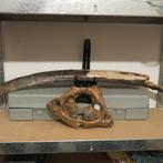 Mammoet Rib, Ophalen, Fossiel