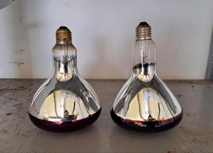 Broedlampen, Huis en Inrichting, Lampen | Hanglampen, Zo goed als nieuw, Ophalen of Verzenden