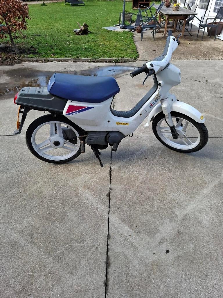 Honda Wallaroo A klasse met papieren, Vélos & Vélomoteurs, Cyclomoteurs | Honda, Autres modèles, 49 cm³, Comme neuf, Enlèvement