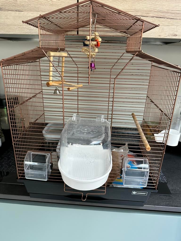 Vogelkooi, Dieren en Toebehoren, Ophalen, Zo goed als nieuw, Vogelkooi