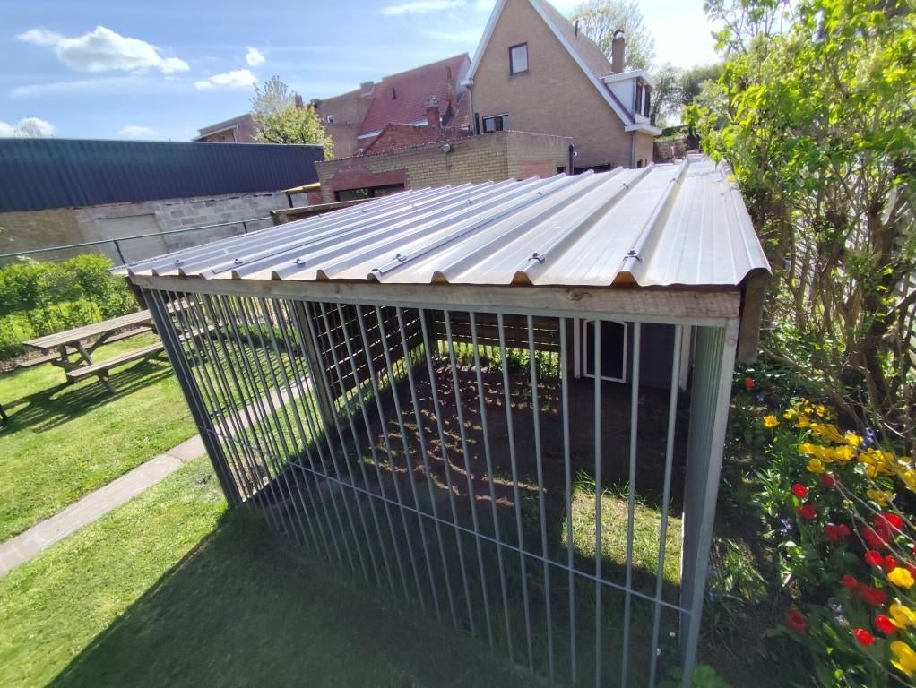 Hondenren incl. dak en deur - 3x3m, Dieren en Toebehoren, Hondenhokken, Ophalen, Hondenkennel, 110 cm of meer, 100 cm of meer