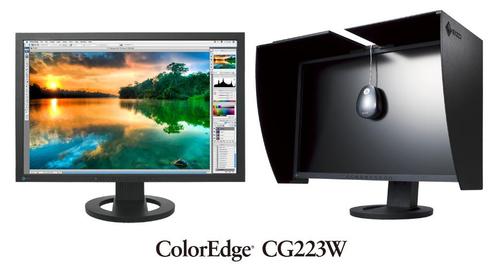 EIZO ColorEdge CG223W s'étend à 360 Afficher ColorEdge CG22, TV, Hi-fi & Vidéo, Photo | Appareils professionnels, Comme neuf, Enlèvement