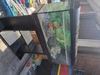 Aquarium à donner, Dieren en Toebehoren, Vissen | Aquaria en Toebehoren, Ophalen, Gebruikt, Leeg aquarium