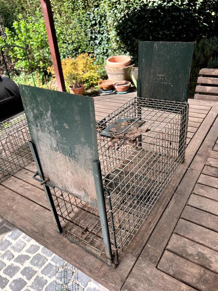 Grote vangkooi voor ratten, Tuin en Terras, Overige Tuin en Terras, Gebruikt, Ophalen of Verzenden