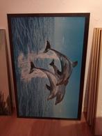 Lot van 7 zeer grote kaders / fotolijsten / schilderijlijst, Huis en Inrichting, Ophalen, Gebruikt, Metaal of Aluminium