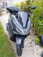 Honda Pcx 125cc, Particulier, 125 cc