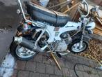 Dax 125 cc, Motos, Particulier