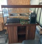 Juwel 350 aquarium + filter, Dieren en Toebehoren, Ophalen, Zo goed als nieuw