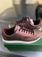 Lacoste Sneaker nieuw Bordeaux, Kleding | Heren, Sportkleding, Nieuw, Lacoste, Ophalen of Verzenden, Overige kleuren