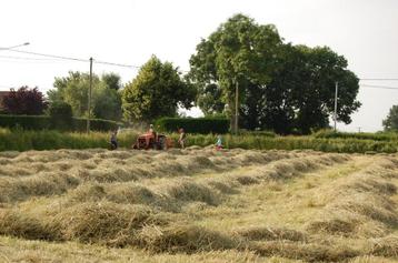 Particulier zoekt weide, grasland of landbouwgrond te huur beschikbaar voor biedingen