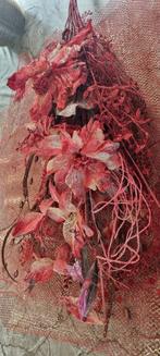 decoratie,rode gedroogde bloem, Huis en Inrichting, Woonaccessoires | Droogbloemen, Ophalen of Verzenden, Zo goed als nieuw
