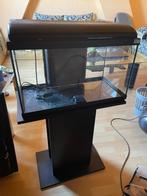 Aquarium, Dieren en Toebehoren, Ophalen