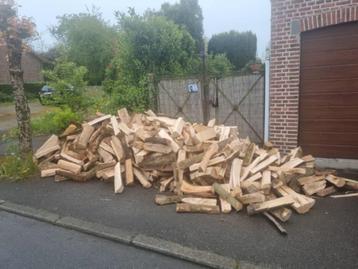 Bois de chauffage de qualitè . beschikbaar voor biedingen