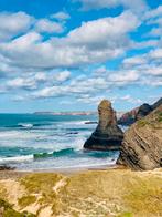 Overname bv vastgoed opkoper/projectontwikkeling, Zakelijke goederen