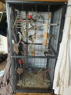 Vogelkooi groot, Enlèvement, Cage à oiseaux