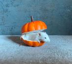 Mr. Pumpkin - taxidermie muis, Enlèvement ou Envoi